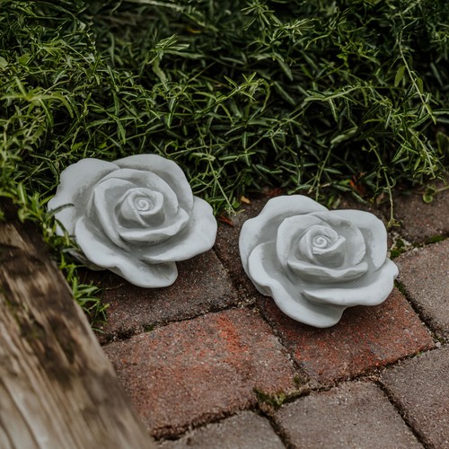 Rose lati - rose, in