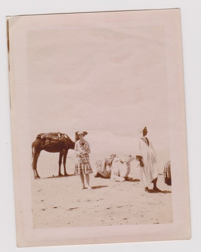Photo ancienne biskra - photo,